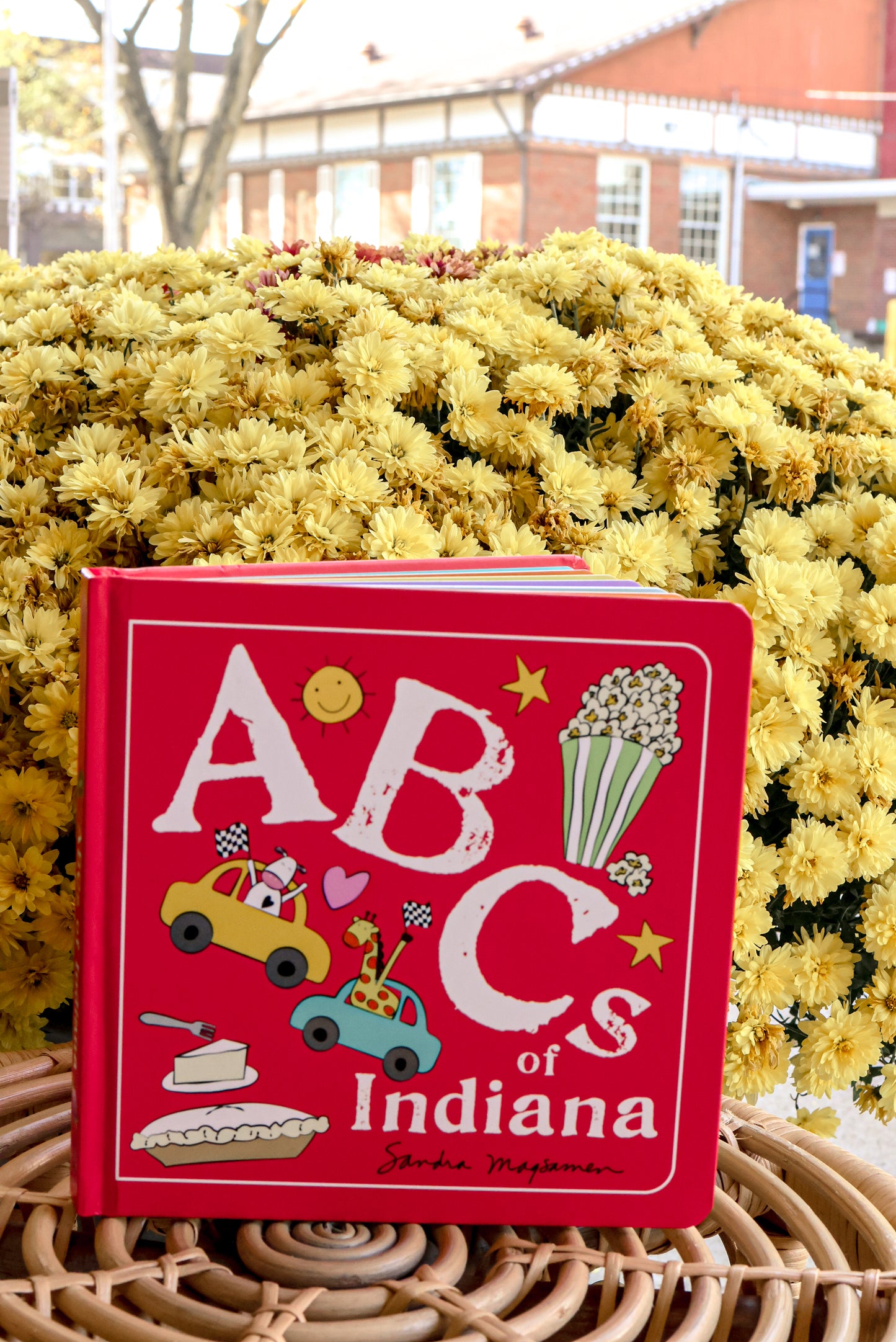 ABCs Of Indiana