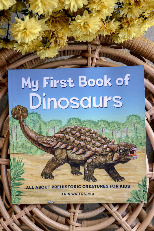 My First Book of Dinosaurs