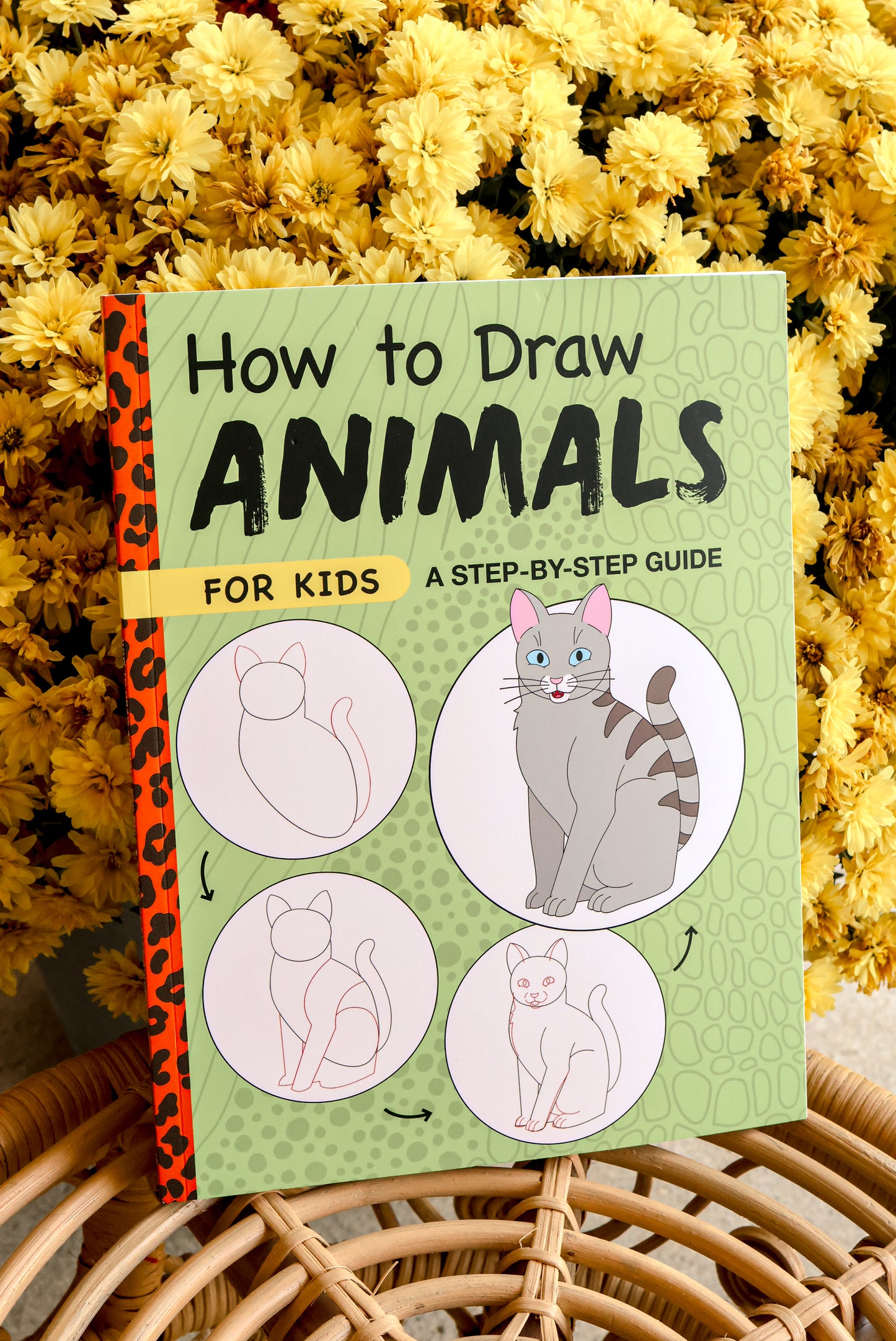 How to Draw Animals for Kids