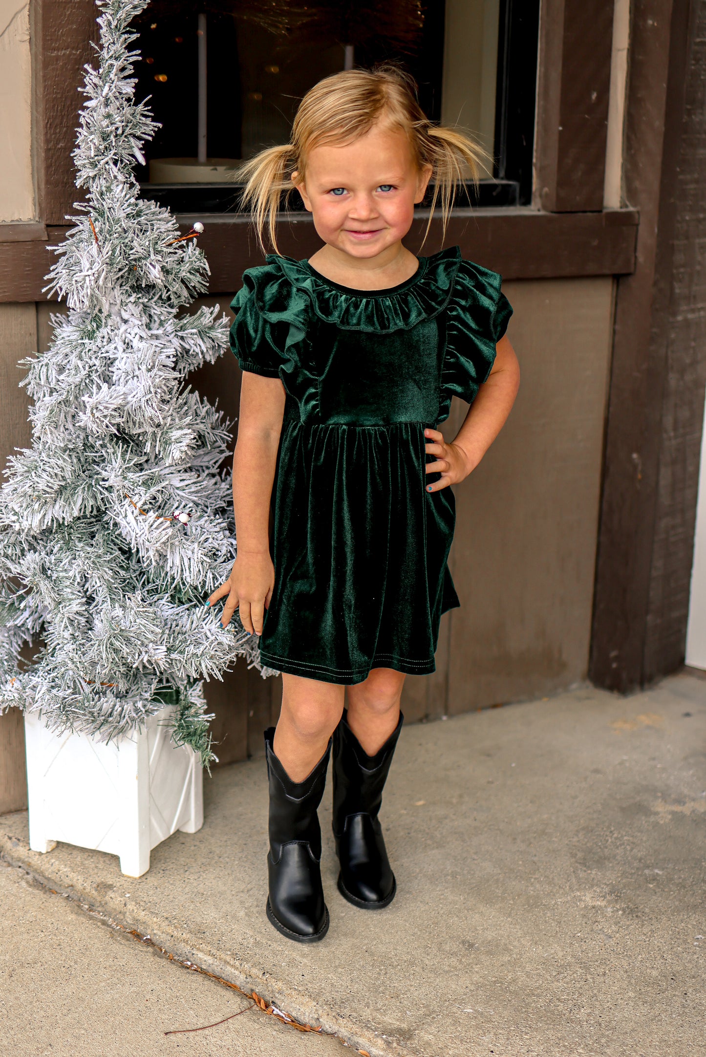 Holiday Velvet Dress