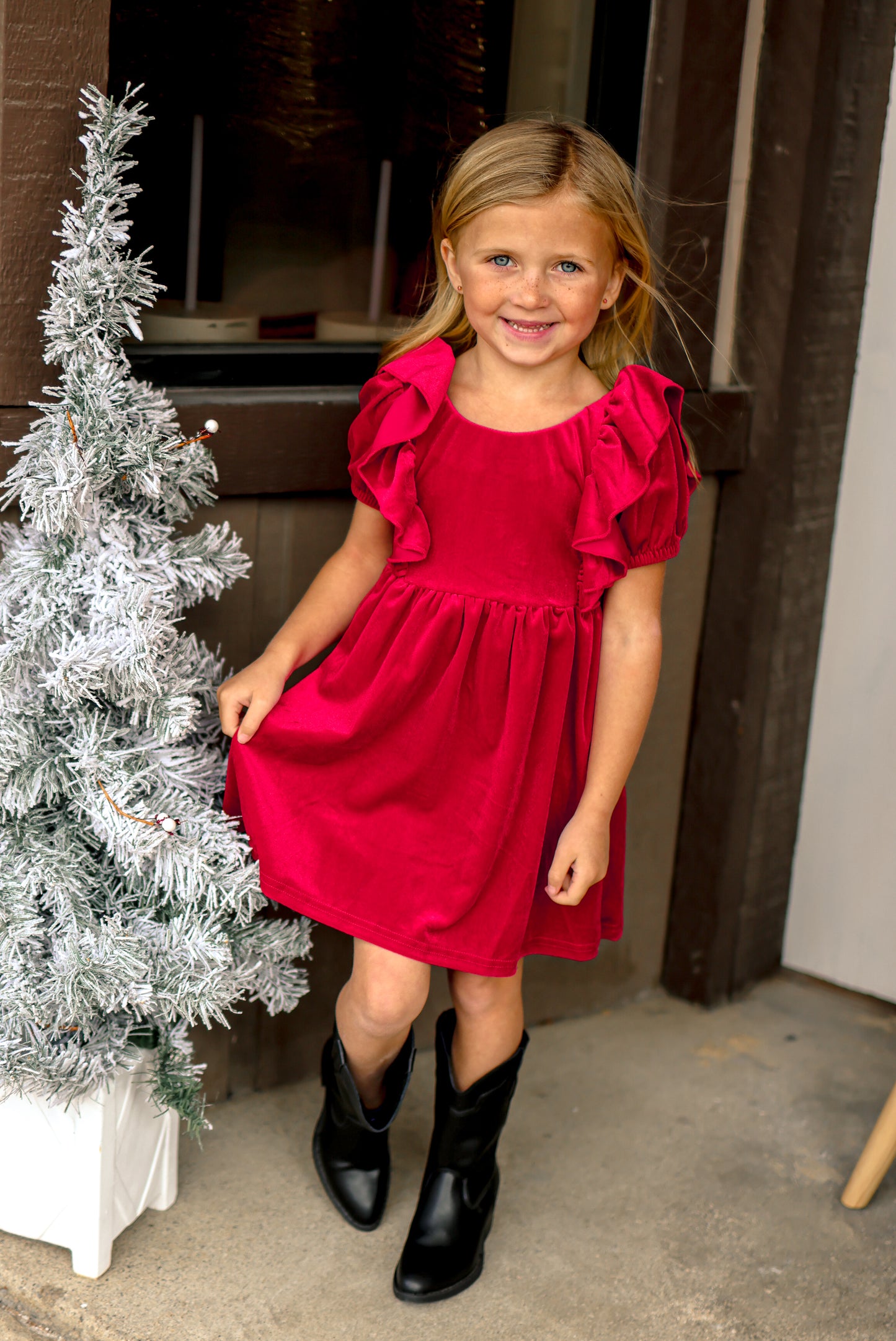 Holiday Velvet Dress