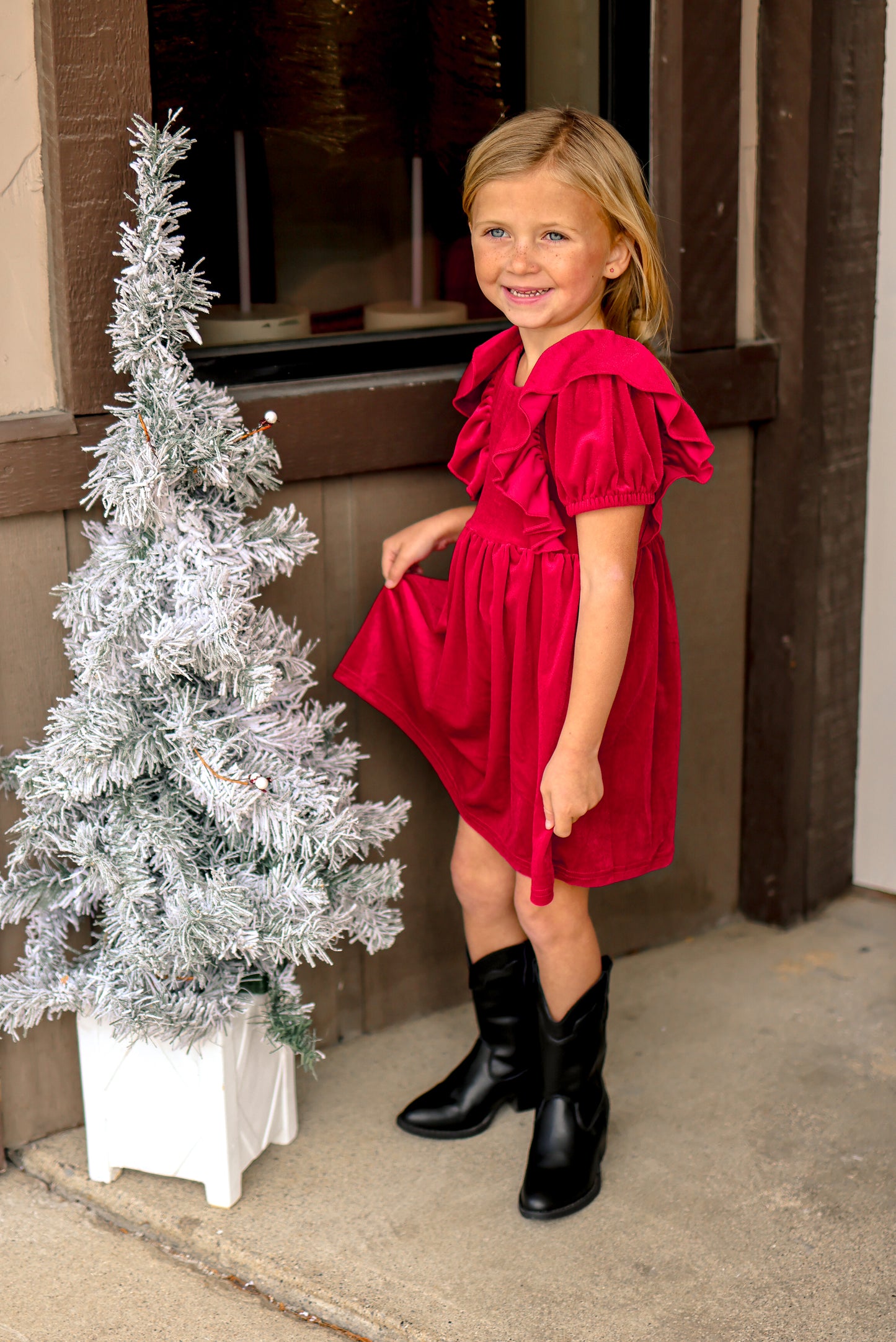 Holiday Velvet Dress