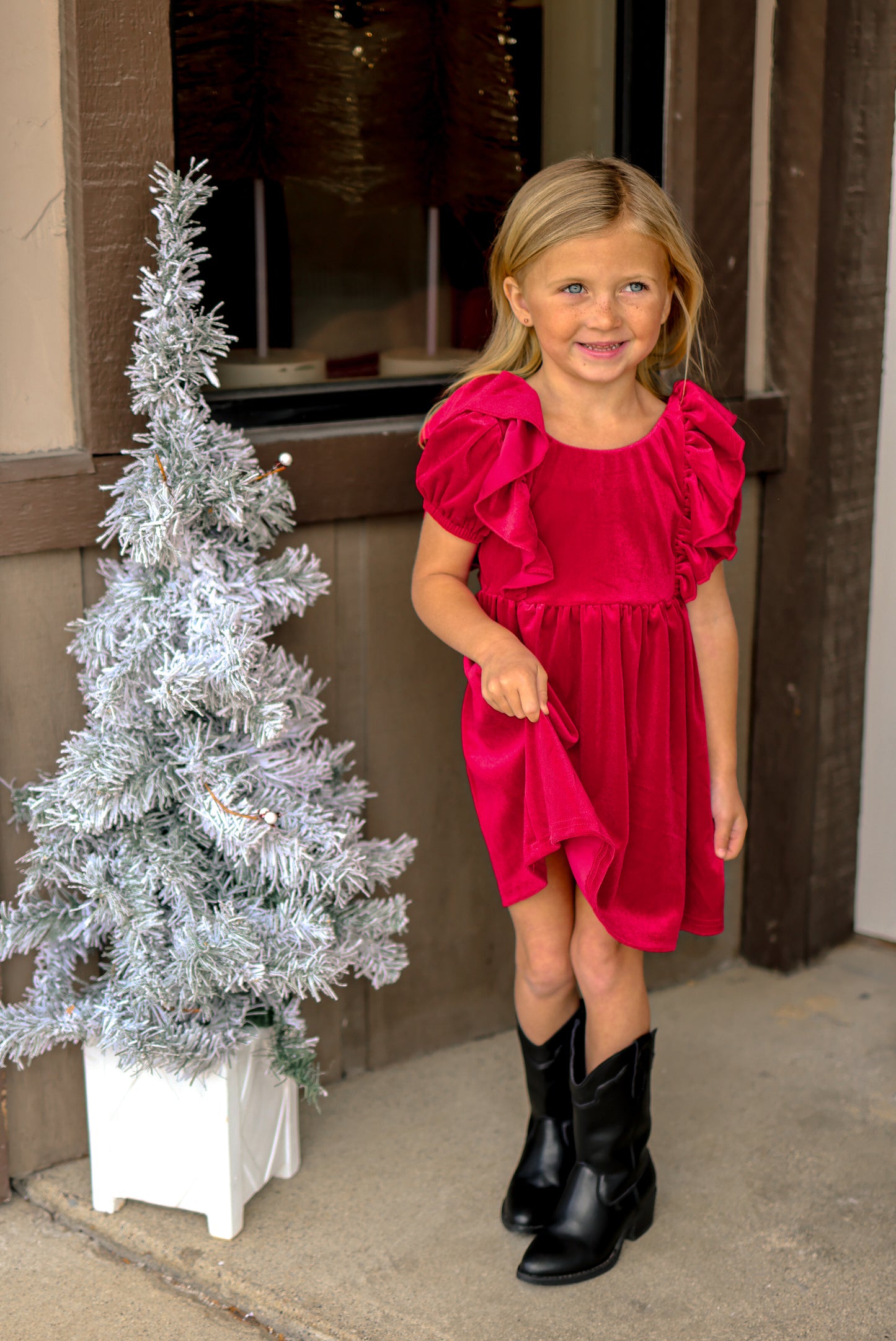 Holiday Velvet Dress